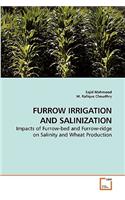 Furrow Irrigation and Salinization