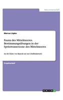 Fauna des Mittelmeeres. Bestimmungsübungen in der Spritzwasserzone des Mittelmeeres
