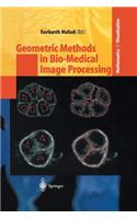 Geometric Methods in Bio-Medical Image Processing: (Mathematics and Visualization)