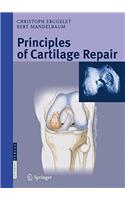 Principles of Cartilage Repair