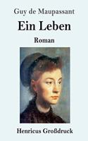 Leben (Großdruck): Roman