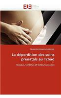 La D�perdition Des Soins Pr�natals Au Tchad