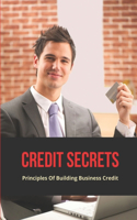 Credit Secrets: Principles Of Building Business Credit: Credit Repair Business Guide