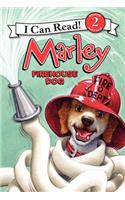 Marley: Firehouse Dog