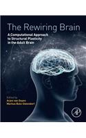Rewiring Brain