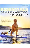 Essentials of Human Anatomy & Physiology and Modified Mastering A&p with Pearson Etext -- Valuepack Access Card Package