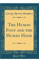 The Human Foot and the Human Hand (Classic Reprint)