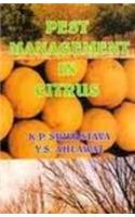 Pest Management in Citrus