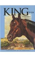 King P-234