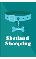Shetland Sheepdog