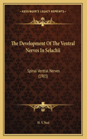 The Development Of The Ventral Nerves In Selachii