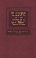 The Topographical Anatomy of the Thorax and Abdomen of the Horse