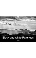 Black and White Pyrenees 2017: Landscapes of the Pyrenees(Calvendo Nature)