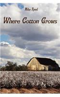 Where Cotton Grows