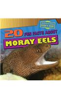 20 Fun Facts about Moray Eels