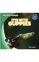 Itty Bitty Guppies