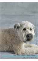 Soft Coated Wheaten Terrier Affirmations Workbook Soft Coated Wheaten Terrier Presents: Positive and Loving Affirmations Workbook. Includes: Mentoring Questions, Guidance, Supporting You.
