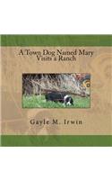 Town Dog Named Mary Visits a Ranch