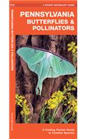 Pennsylvania Butterflies & Pollinators