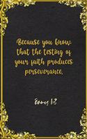 Because you know that the testing of your faith produces perseverance. James 1