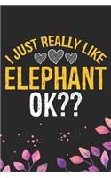 I Just Really Like Elephant: Cool Elephant Journal Notebook Gifts- Elephant Lover Gifts for Women- Funny Elephant Notebook Diary - Elephant Owner Gifts. 6 x 9 in 120 pages
