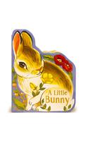 A Little Bunny