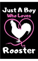 Just a boy who loves rooster