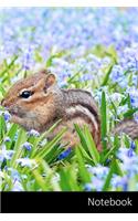Notebook: Chipmunk, Primavera, Campo, Prato taccuino / agenda / quaderno delle annotazioni / diario / libro di scrittura / carnet / zibaldone - 6 x 9 pollici 