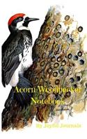 Acorn Woodpecker Notebook