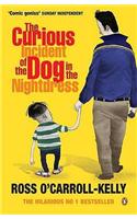 The Curious Incident of the Dog in the Nightdress