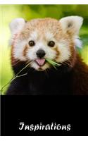 My Notebook: Inspirations - 1 Red Panda