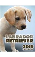 Labrador Retriever 2018 Calendar (UK Edition)