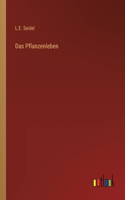 Pflanzenleben