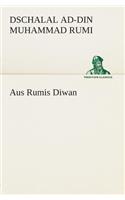 Aus Rumis Diwan