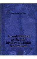 A contribution to the life-history of Lilium tenuifolium