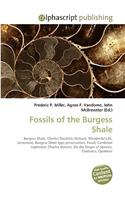 Fossils of the Burgess Shale: (English)