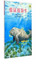 Dugong Looking for Manatees