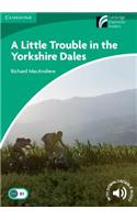 A Little Trouble in the Yorkshire Dales Level 3 Lower Intermediate