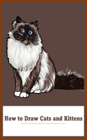 How to Draw Cats and Kittens