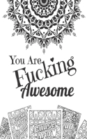 You Are Fucking Awesome