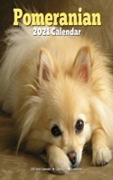 Pomeranian 2021 Calendar: Dog Gifts