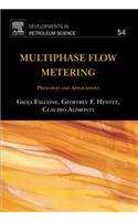 Multiphase Flow Metering: Principles and Applications(54 Developments in Petroleum Science)
