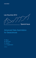 Advanced Data Assimilation for Geosciences