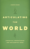 Articulating the World