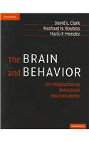 The Brain and Behavior