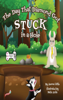 Day That Diamond Got Stuck in a Hole