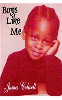Boys Like Me