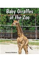 Baby Giraffes at the Zoo: (All about Baby Zoo Animals)