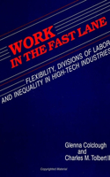Work in the Fast Lane: Flexibility, Divisions of Labor, and Inequality in High-Tech Industries(SUNY series, The New Inequalities)
