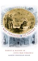 Why Confederates Fought